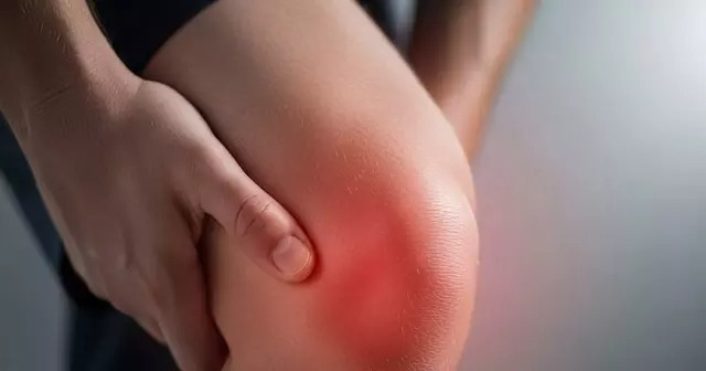 IMGDonec metus orci, malesuada et lectus vitae