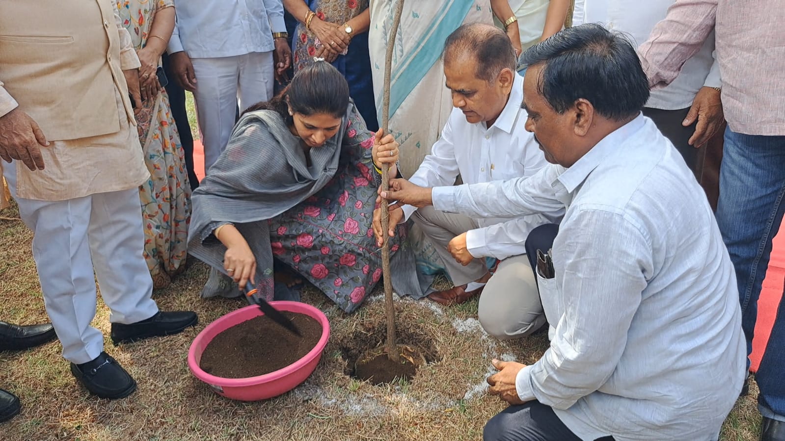 hamarbani image