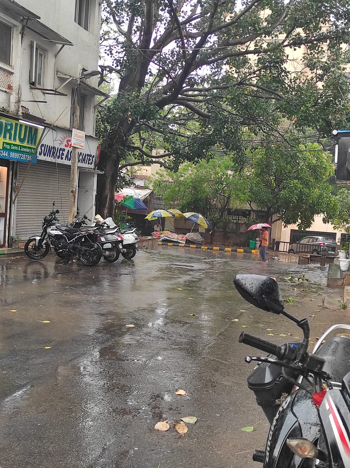 hamarbani image