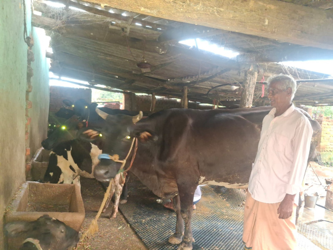hamarbani image