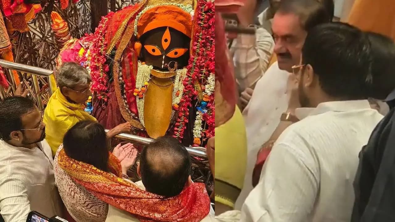 hamarbani image