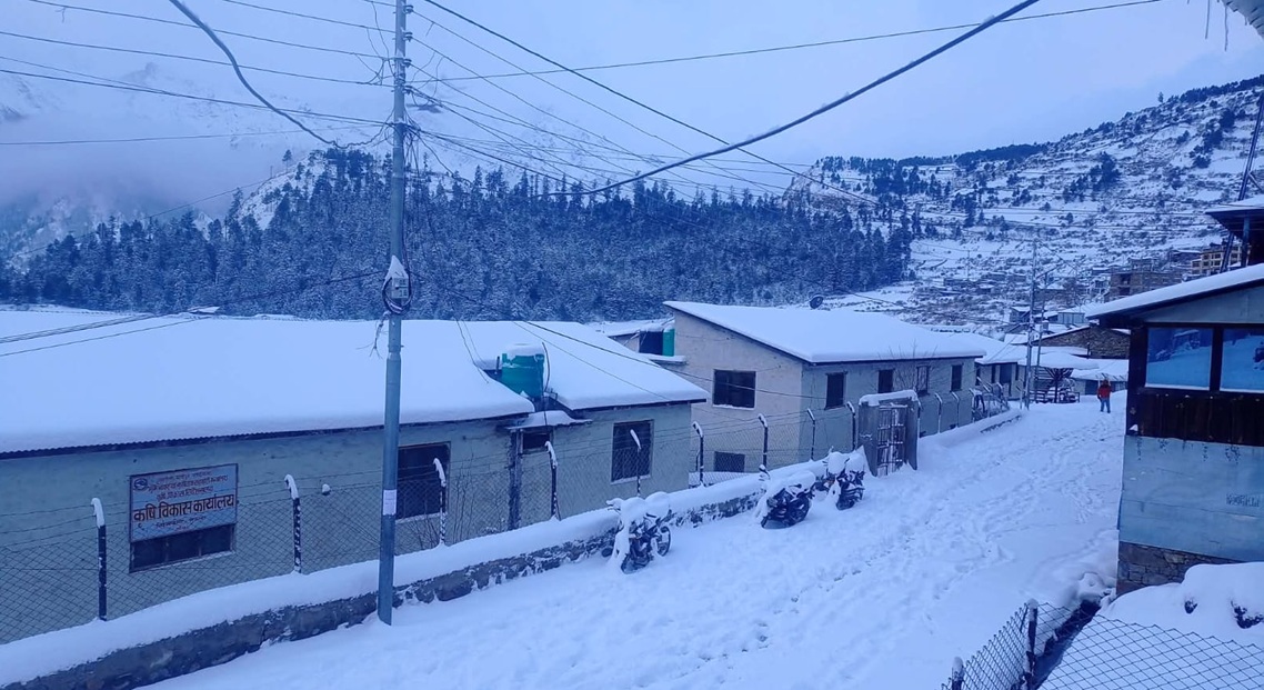 hamarbani image