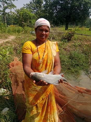 hamarbani image