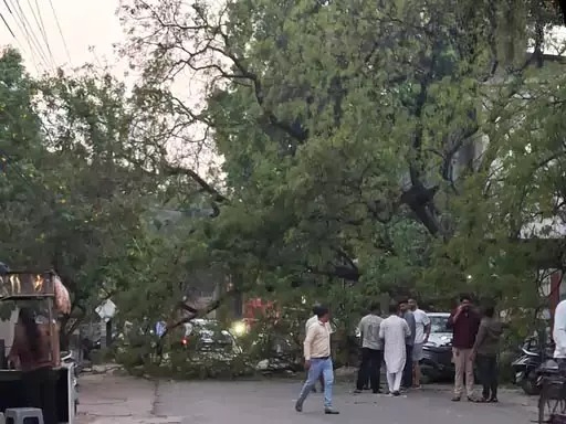hamarbani image