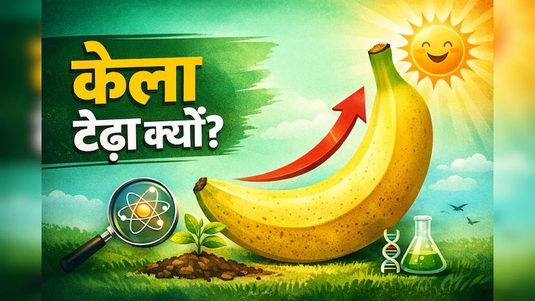 hamarbani image