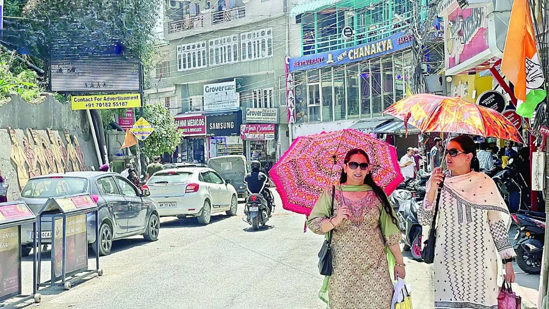 hamarbani image