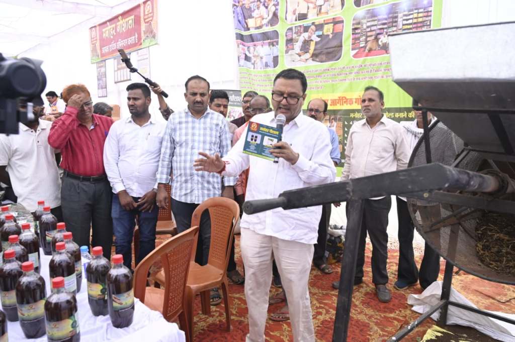 hamarbani image