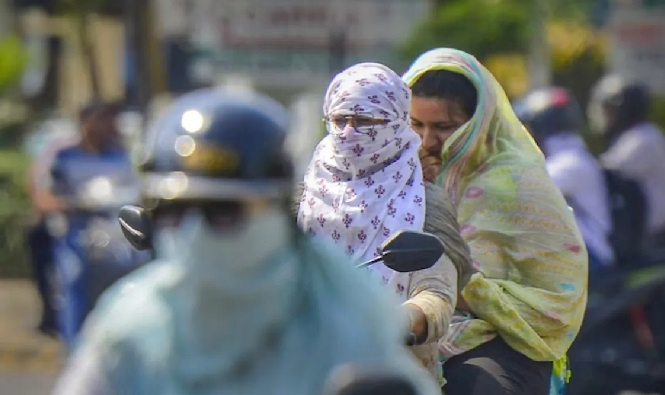 hamarbani image