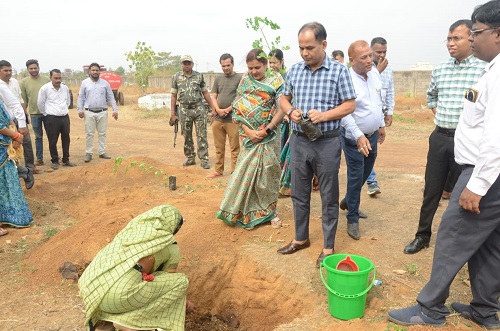 hamarbani image