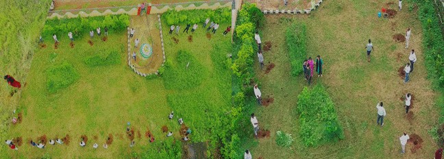 hamarbani image