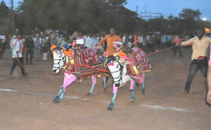hamarbani image